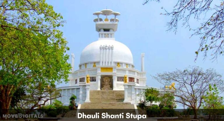 dhauli santi stupa