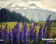 gulmarg kashmir