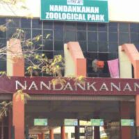 nandankanan zoological park