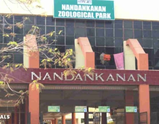 nandankanan zoological park